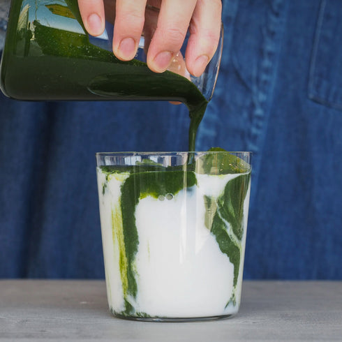 伊勢茶ラテの素  100g(約16杯分)